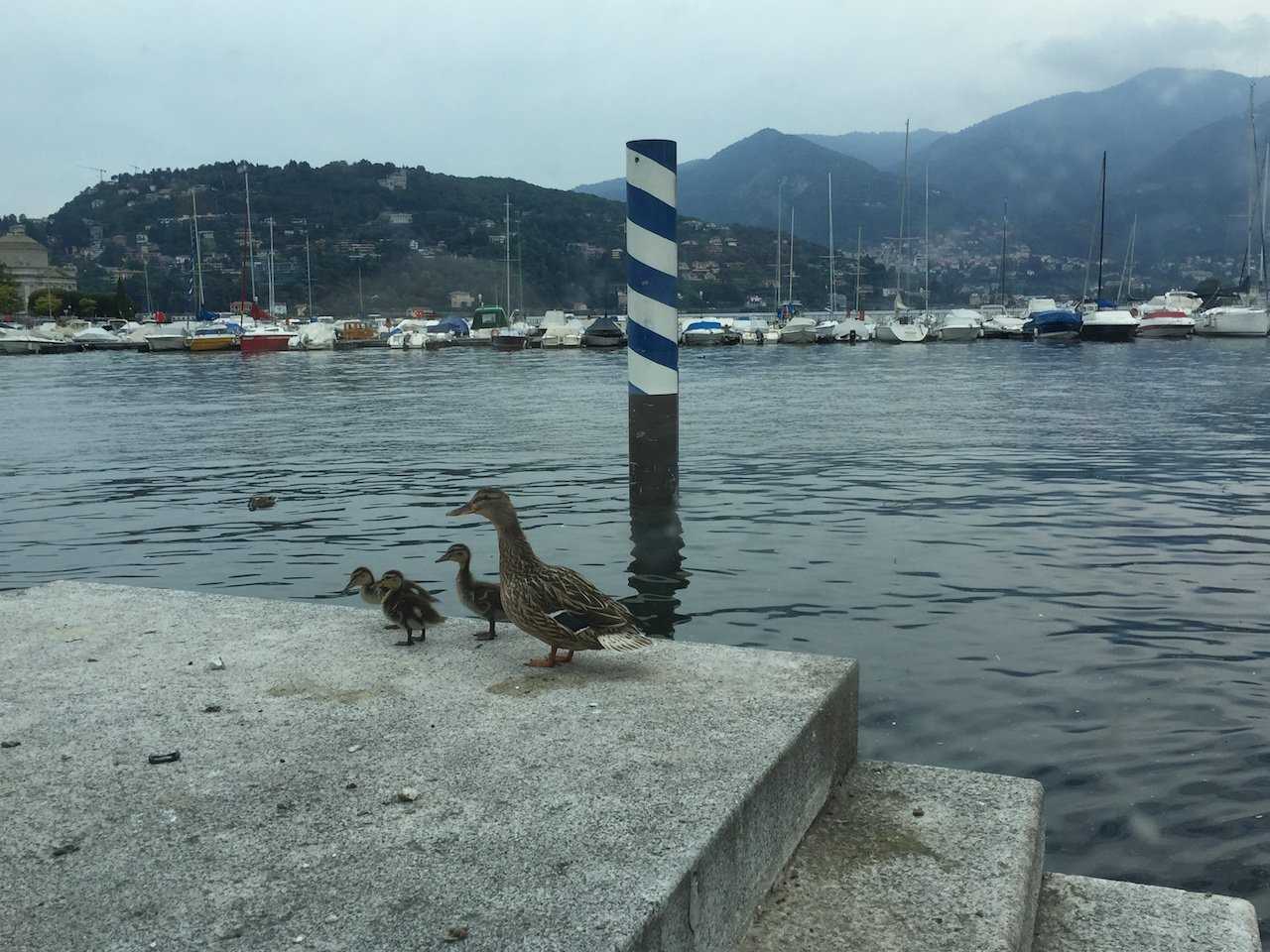 COMO LAKE Today - Lake Como lifestyle magazine