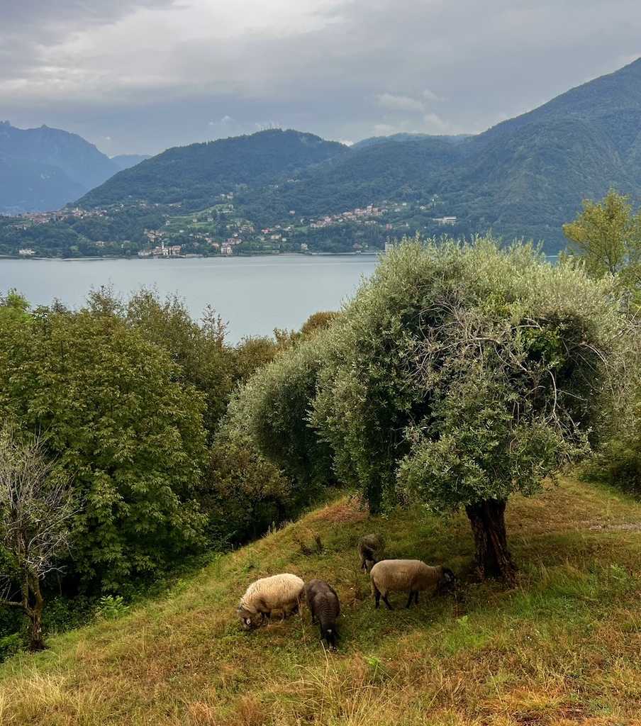 Greenway Lake Como